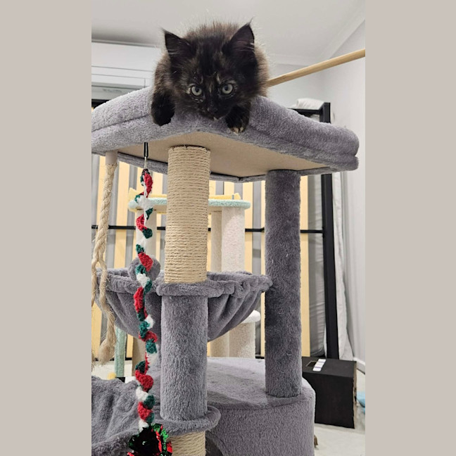 Photo of Lila