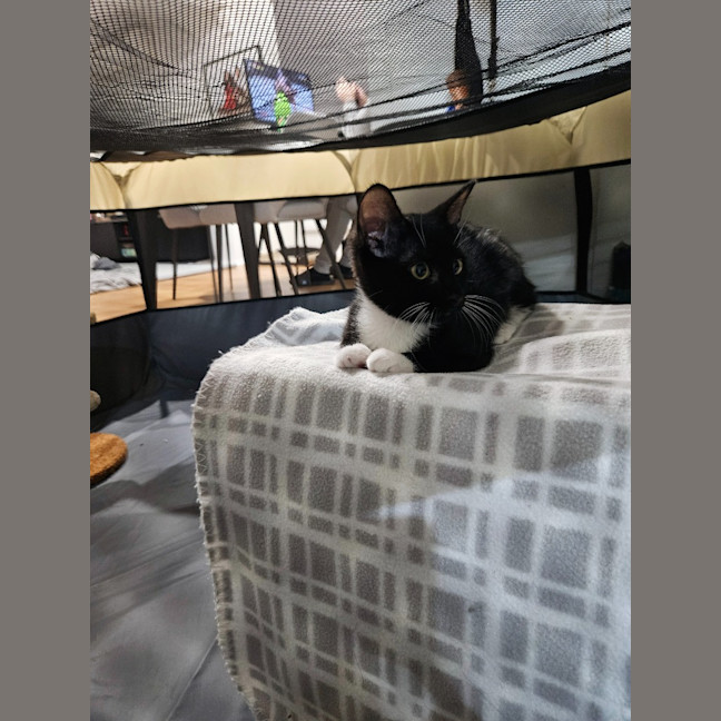 Photo of Luca