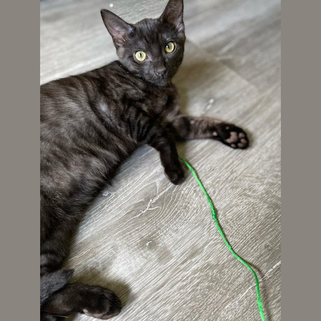 Photo of Monte ❤️