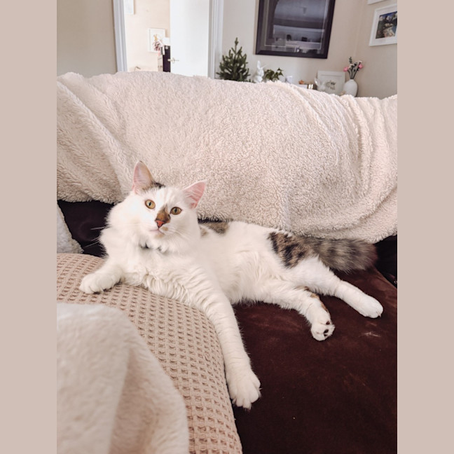 Photo of Julian
