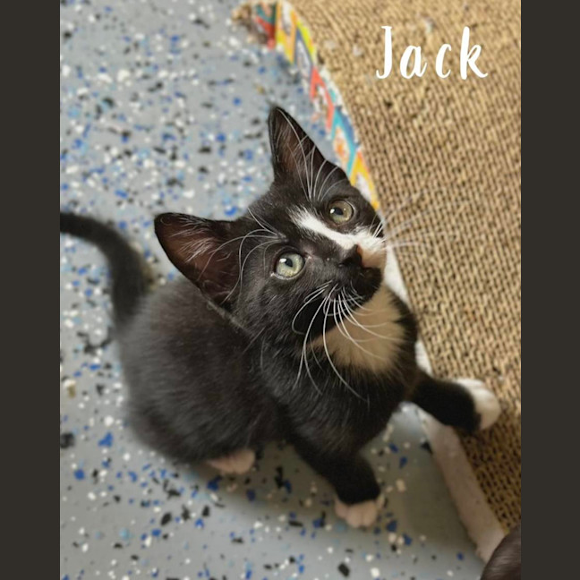 Photo of Jack