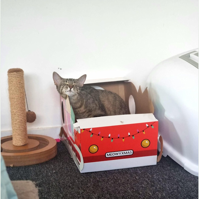 Photo of Nora