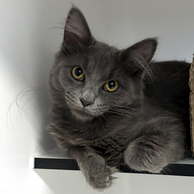 Photo of Emma Stk013179 & Freddie Stk013181