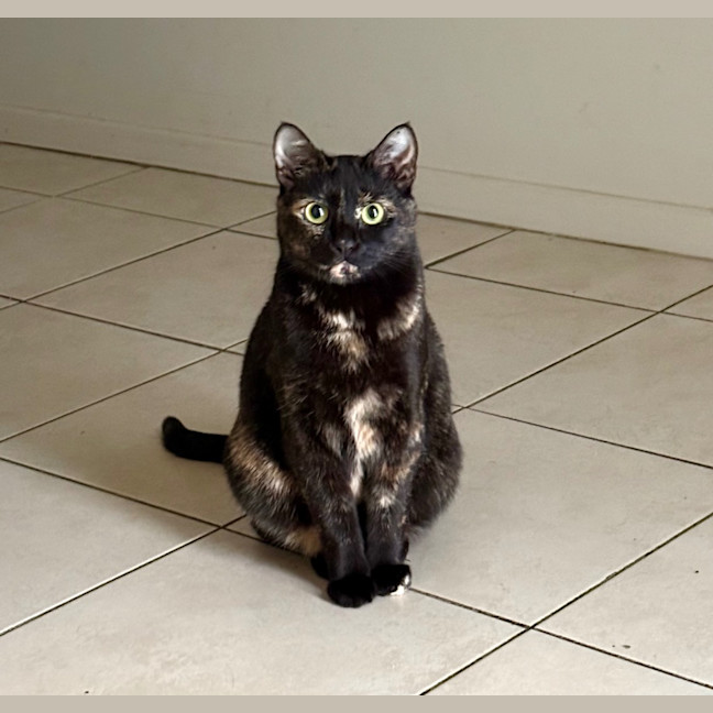 Photo of Madame Marissa Moo