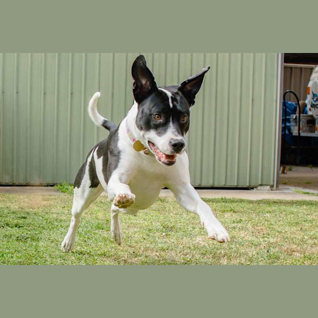 Photo of Maggie Junee