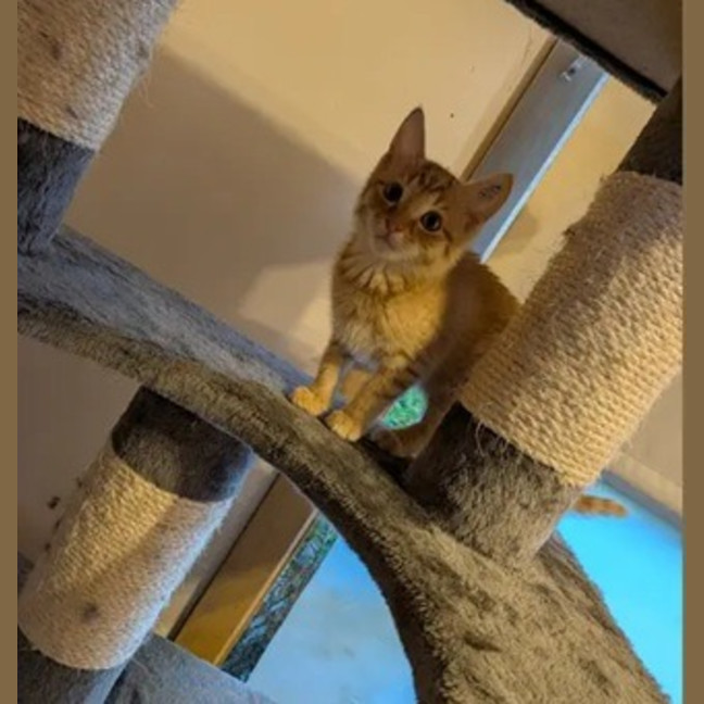 Photo of Squeak