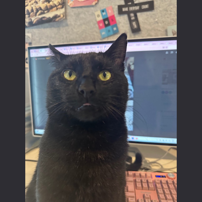 Photo of Sir Boopsalot