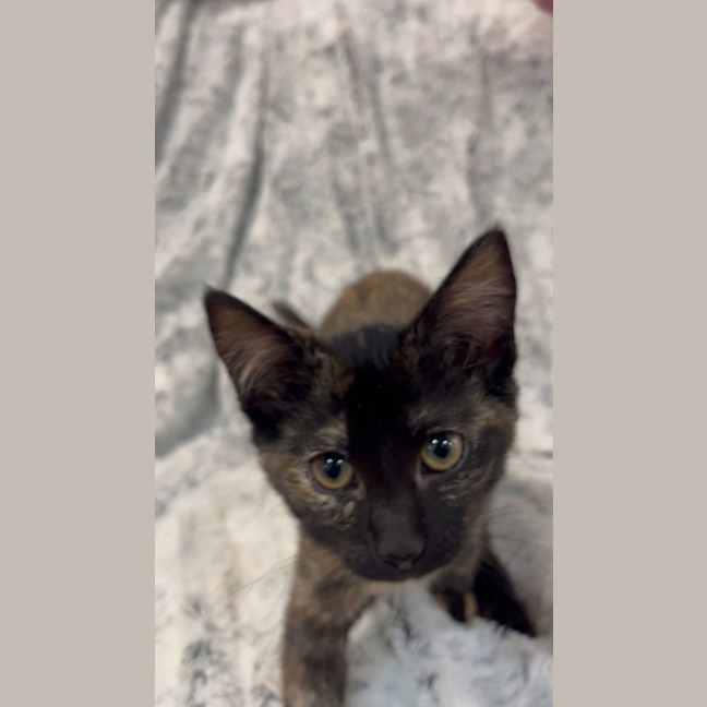 Photo of Wanda