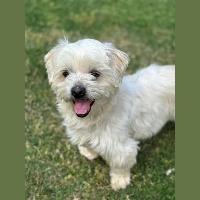 Photo of Oby 