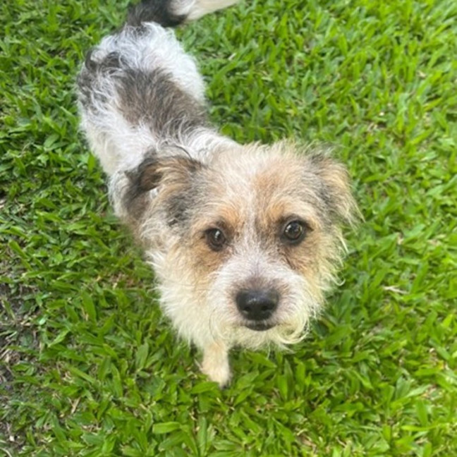 Photo of Fergus 