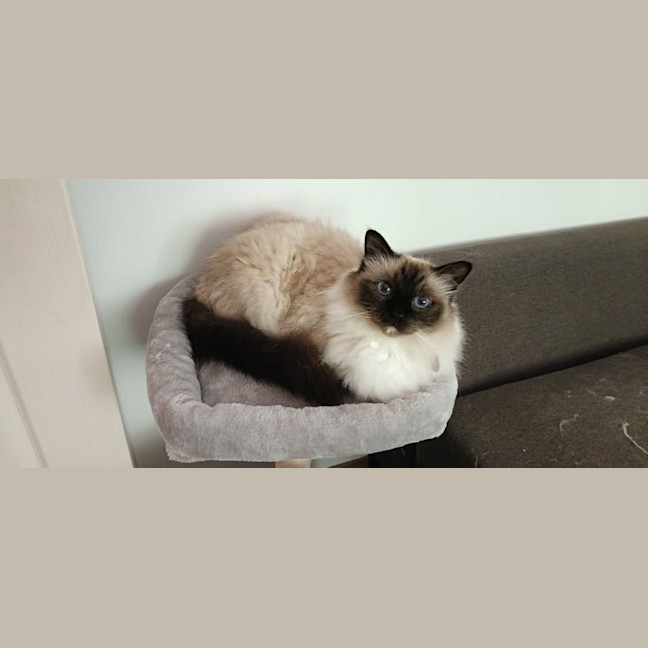 Photo of Basil And Chives 