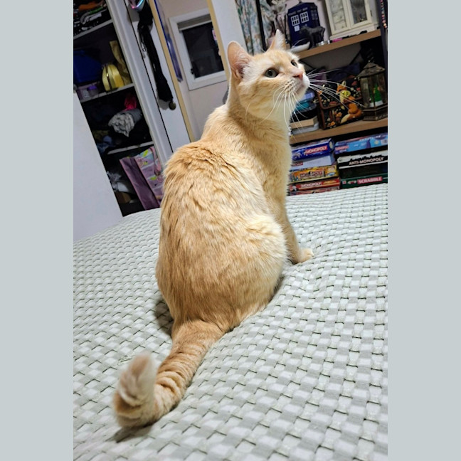 Photo of Diego 