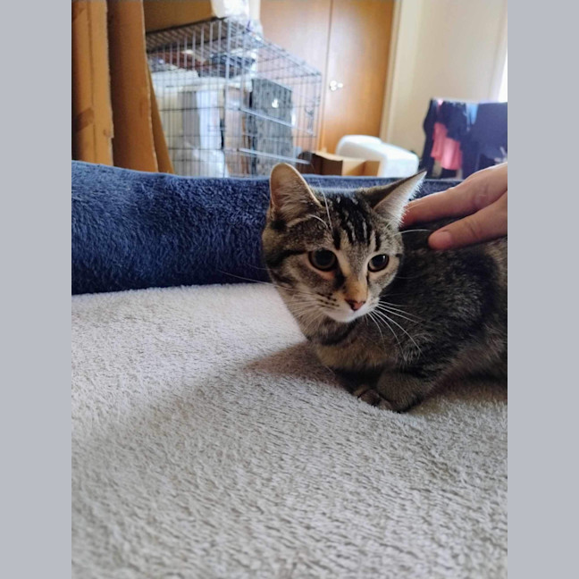 Photo of Oaklyn