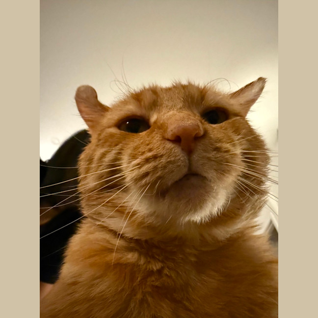 Photo of Bobby