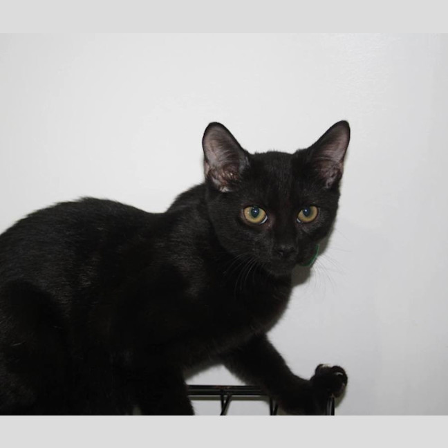 Photo of Elio