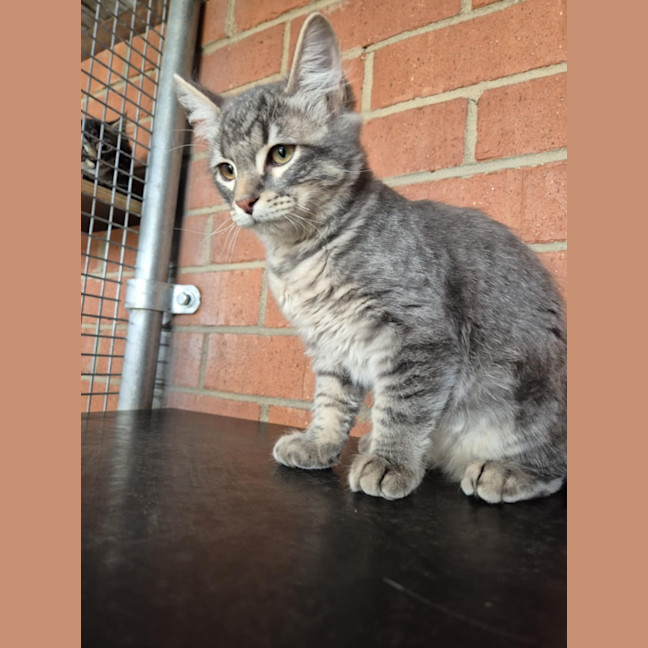 Photo of Winter! ❄️