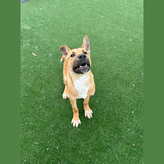 Photo of Ernie Imp 2020