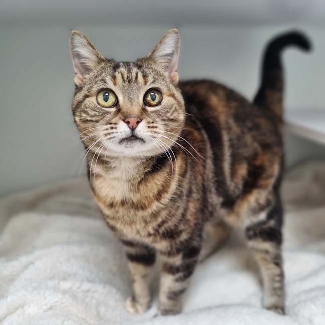 Photo of Wilma