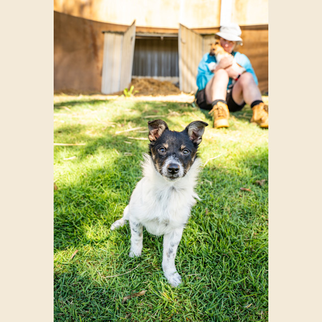 Photo of Oscar