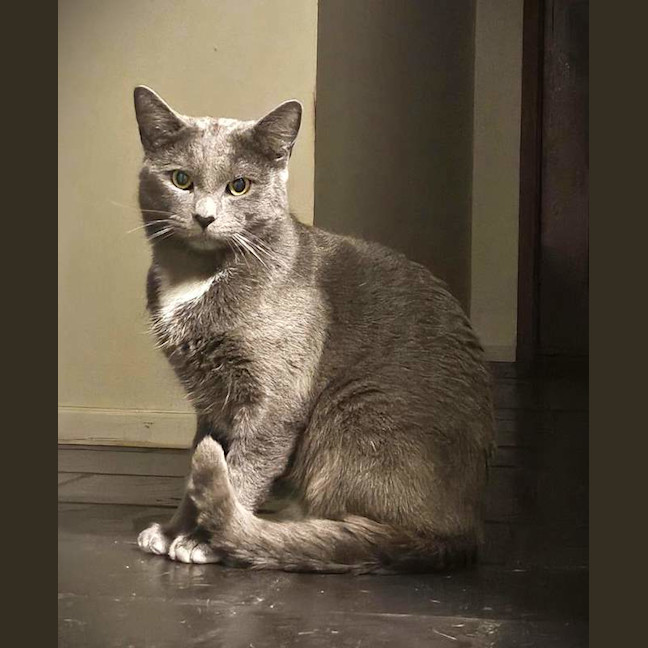 Photo of Oyster