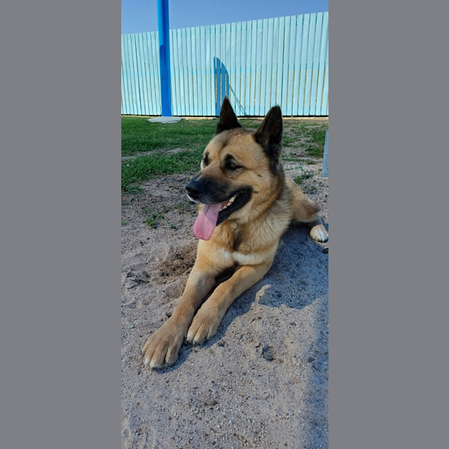 Photo of Theodore