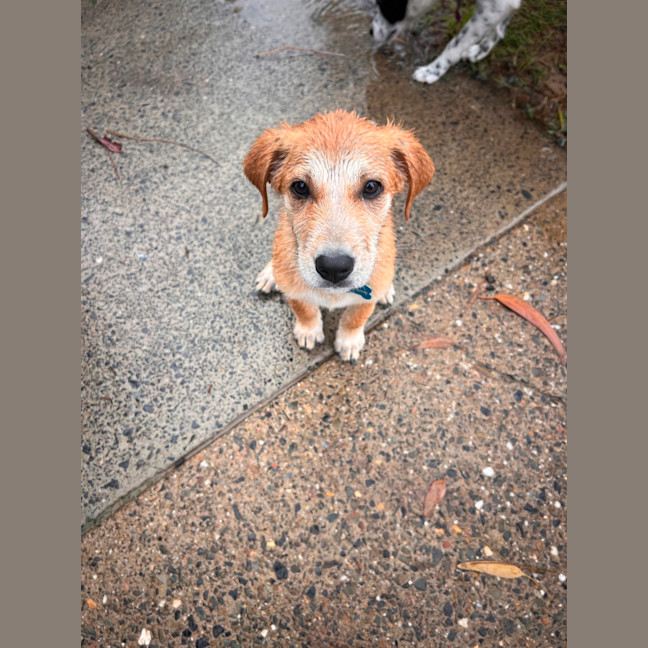 Photo of Major