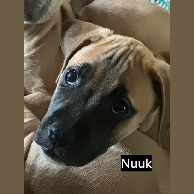 Photo of ⛰️ Coromandel's Litter (Part 1) ⛰️