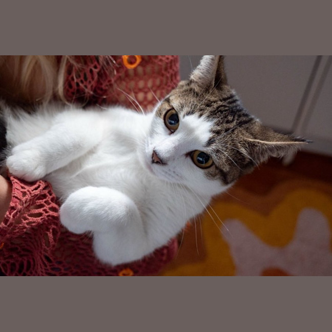 Photo of Penny & Essie 