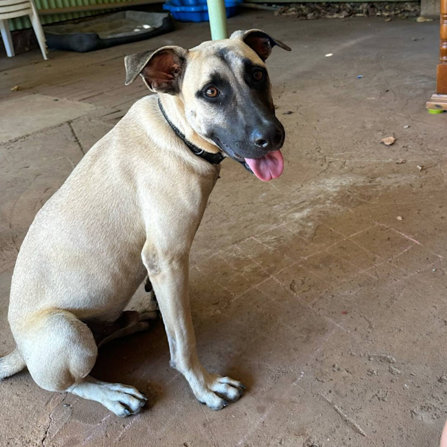 Photo of Marcel (Max)