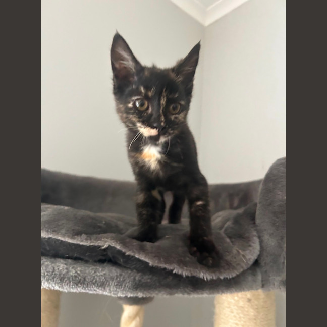 Photo of Ramona