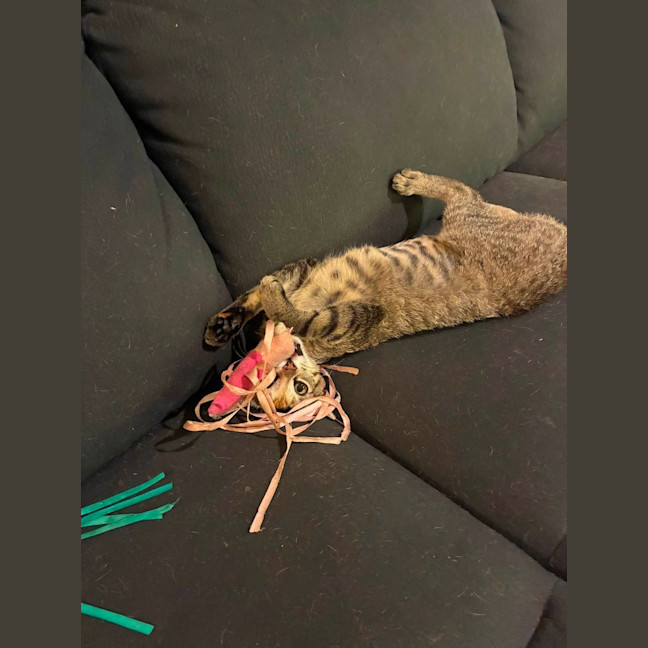 Photo of Lucie