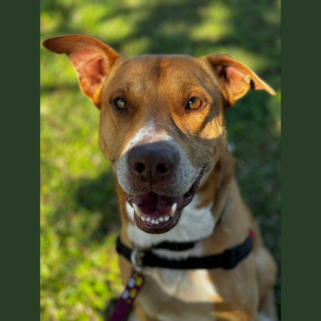 Photo of Charlie