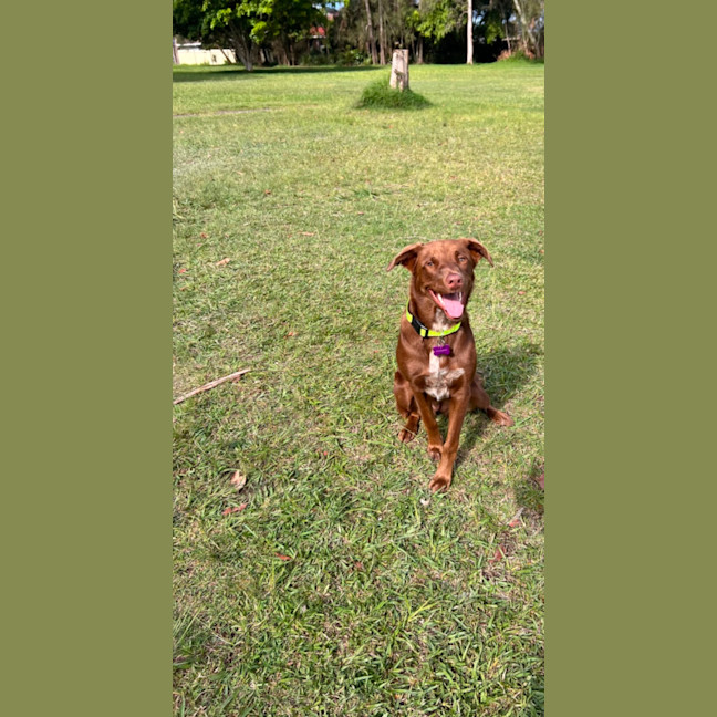 Photo of Remi