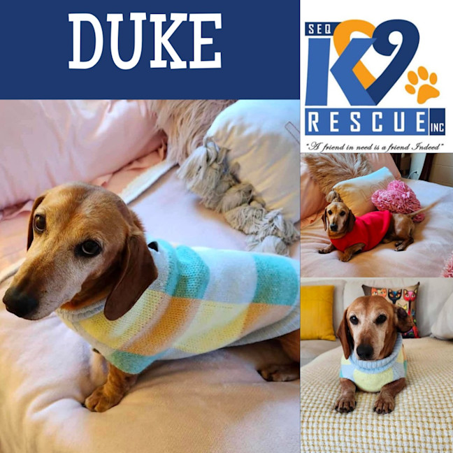 Photo of Duke