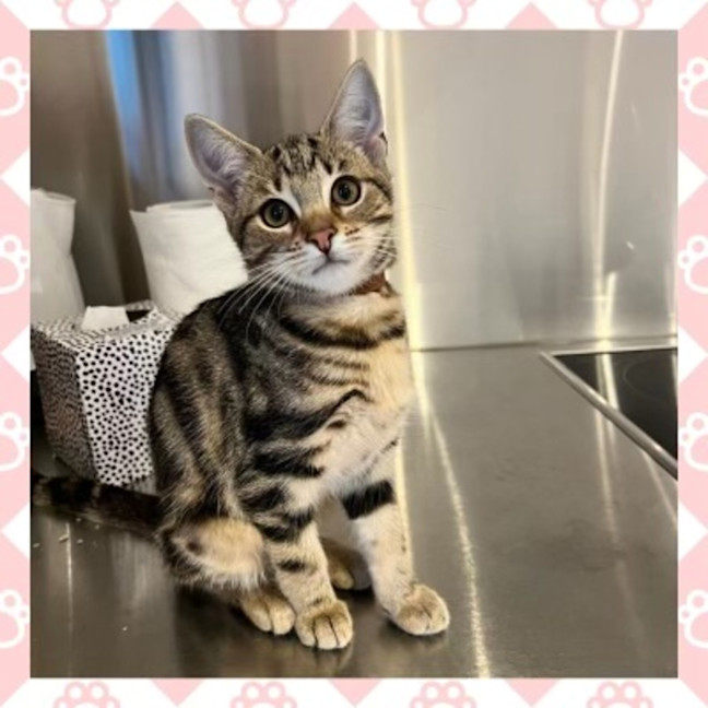 Photo of Bonnie