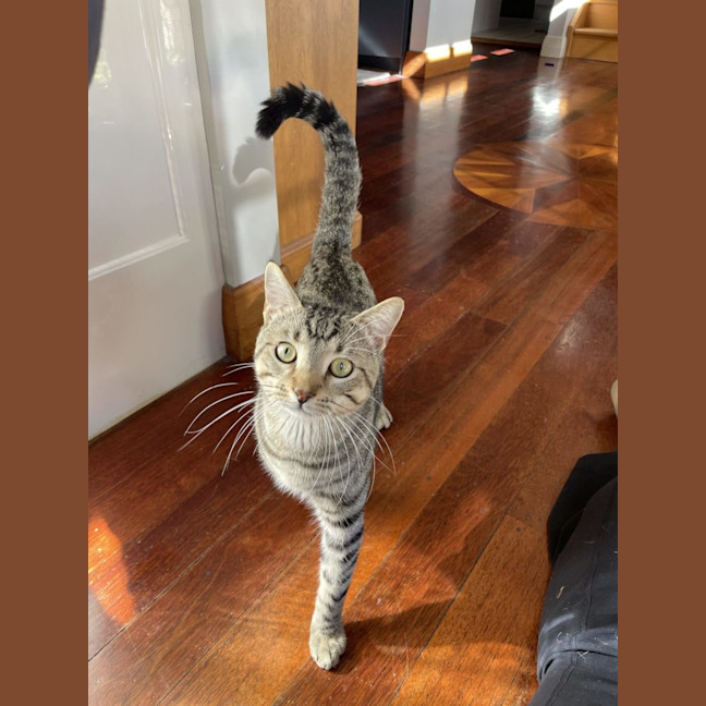Photo of Theodore