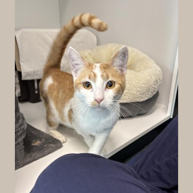 Photo of Fancy Pants