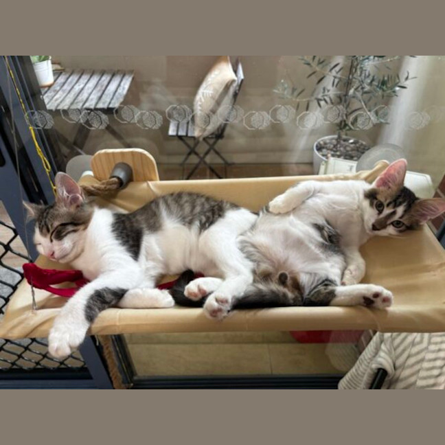 Photo of Ben And Jerry