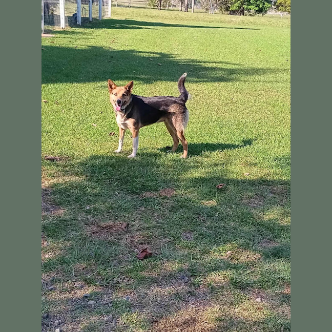 Photo of Leia