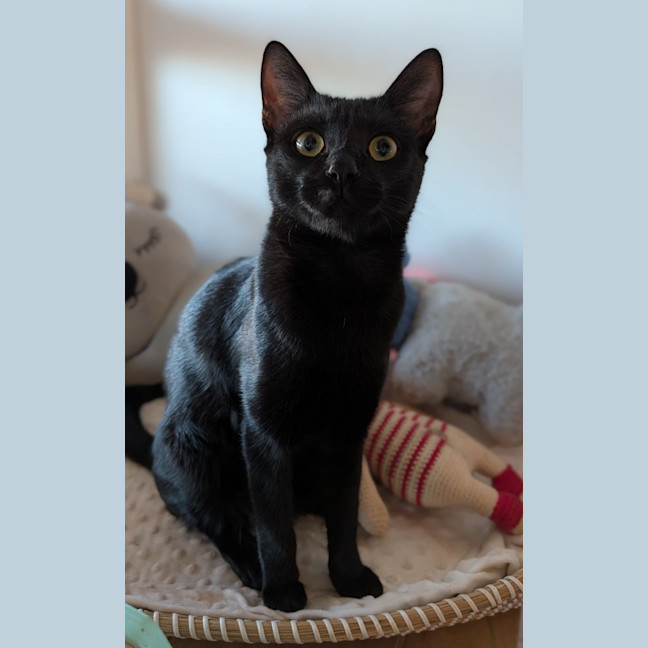 Photo of Veya