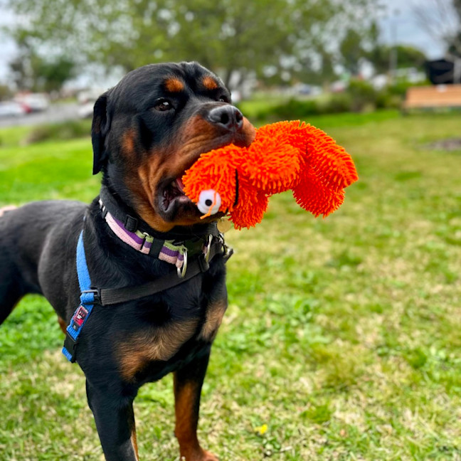 Photo of Zeus
