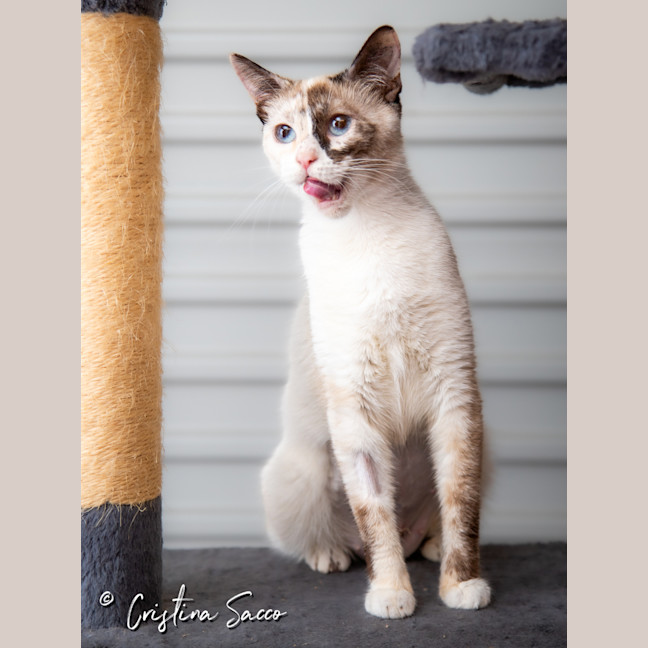 Photo of Chloe