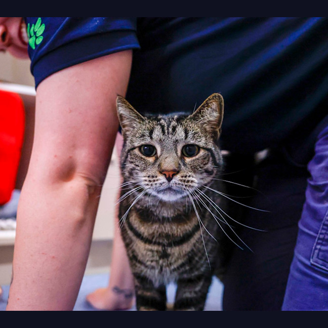 Photo of Bruce