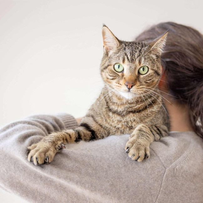 Photo of Liam & Lalo   In Foster Care In Ascot Vale