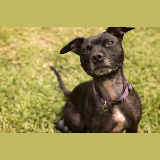 Photo of Beatrice Lozano