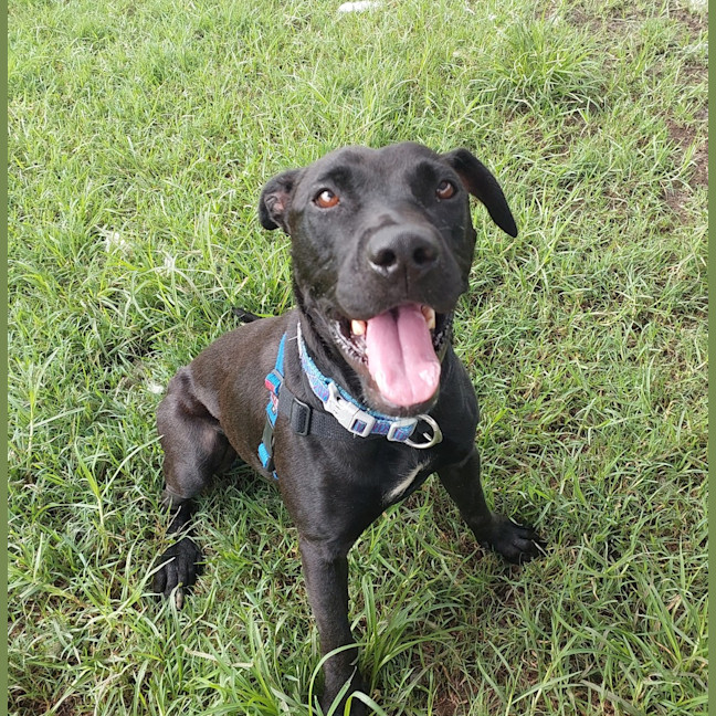 Photo of Tootsi