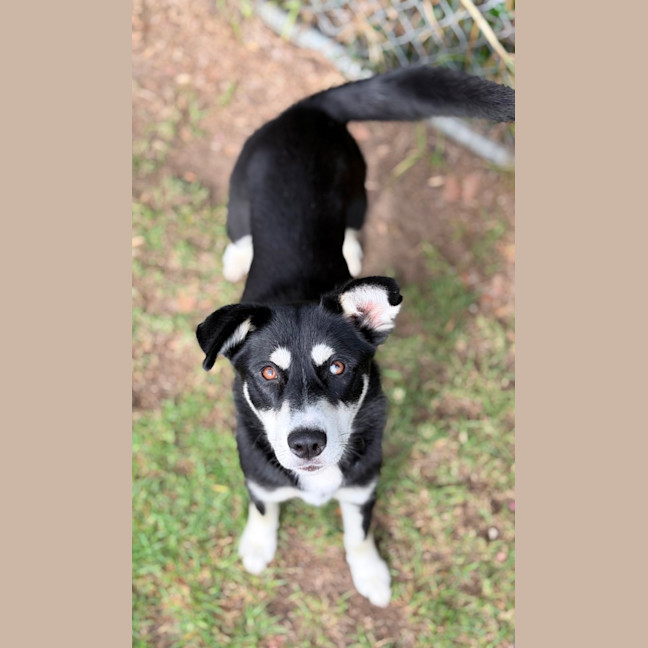 Photo of Yindi 