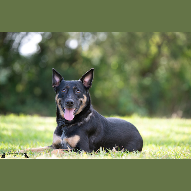 Photo of Betsy