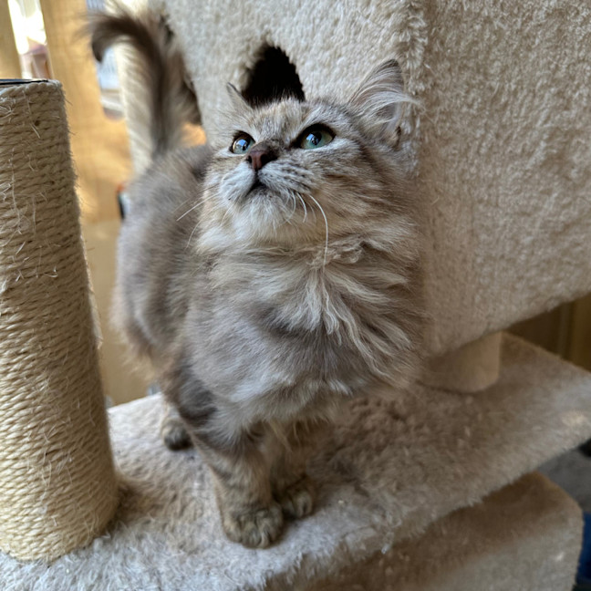 Photo of Sugar