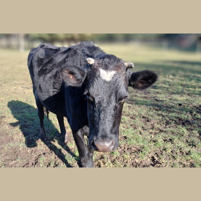 Photo of Miss Gerri & Jack